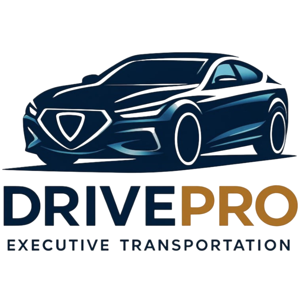 drivepro (1)